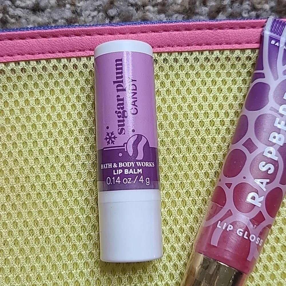 Bath And Body Works Lip Gloss And Balm With Ipsy Makeup Bag